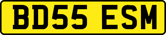 BD55ESM