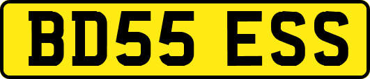 BD55ESS