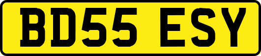 BD55ESY
