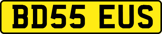 BD55EUS