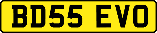 BD55EVO