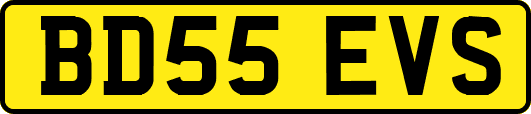 BD55EVS