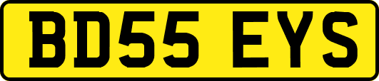 BD55EYS