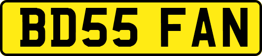 BD55FAN