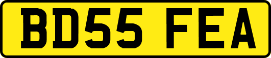 BD55FEA