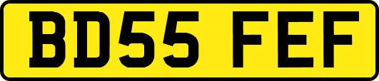 BD55FEF