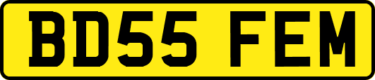 BD55FEM