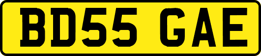 BD55GAE