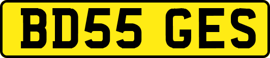 BD55GES