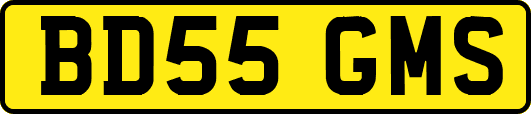 BD55GMS