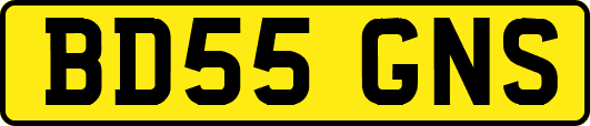 BD55GNS