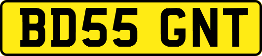 BD55GNT