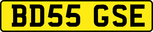 BD55GSE