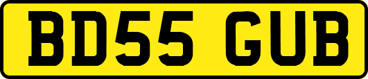 BD55GUB