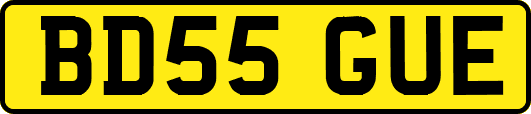 BD55GUE