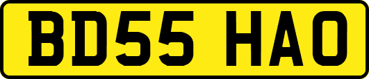 BD55HAO