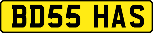 BD55HAS
