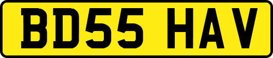 BD55HAV
