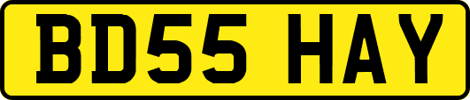 BD55HAY