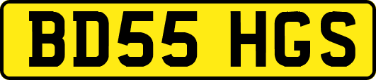BD55HGS
