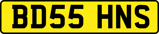BD55HNS