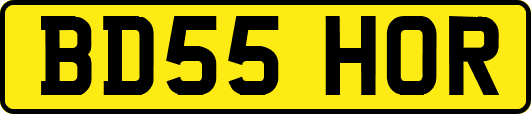 BD55HOR