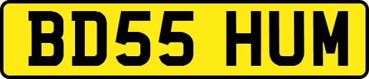 BD55HUM
