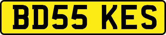BD55KES