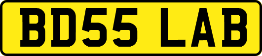 BD55LAB