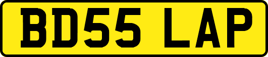 BD55LAP
