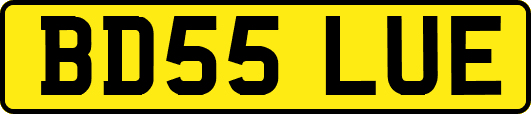 BD55LUE