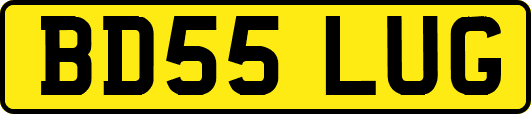 BD55LUG