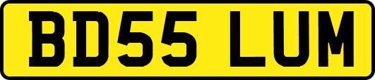 BD55LUM