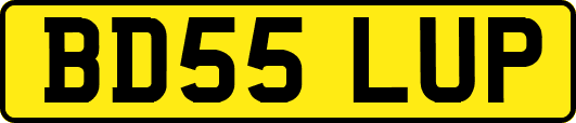 BD55LUP