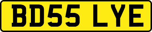 BD55LYE