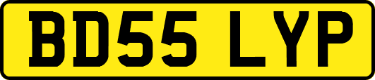 BD55LYP