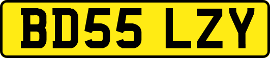 BD55LZY