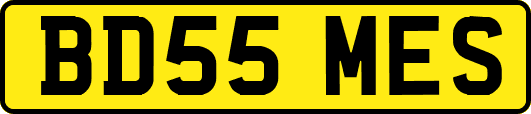 BD55MES