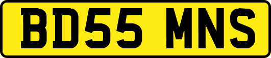 BD55MNS