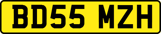 BD55MZH