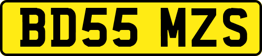 BD55MZS