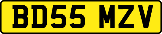 BD55MZV