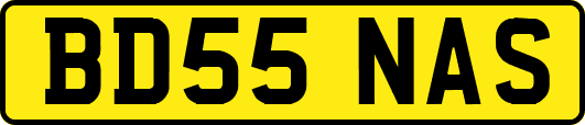 BD55NAS