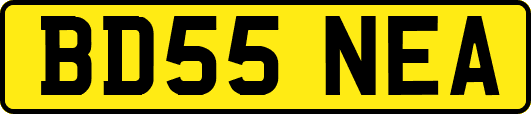 BD55NEA