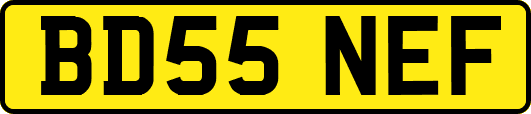 BD55NEF
