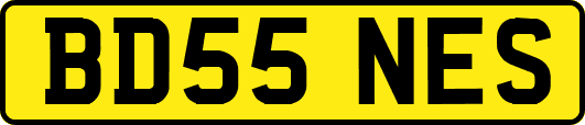 BD55NES
