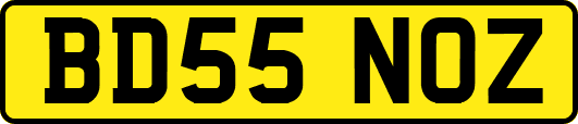 BD55NOZ