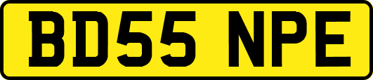 BD55NPE