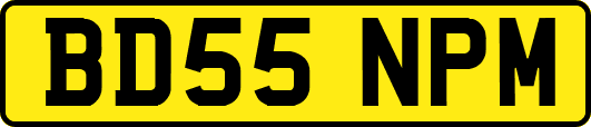 BD55NPM