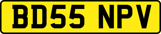 BD55NPV